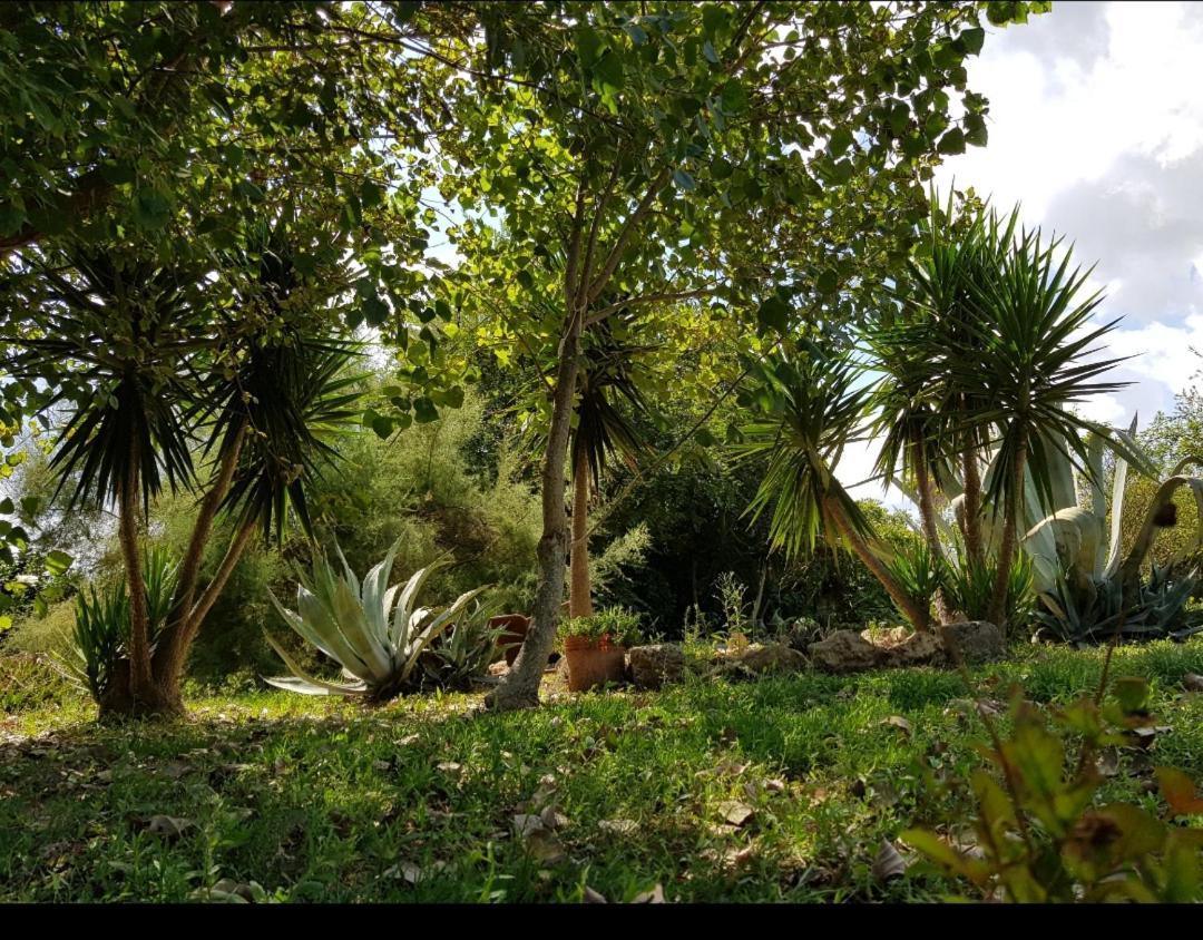 Villa Salento Lapezzaaculuri à Guagnano Extérieur photo